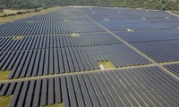 Vietnam entre los tres líderes en transición a energía renovable en Asia- Pacífico