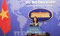 Vietnam colabora con otros países en fortalecimiento de lucha contra migración ilegal