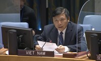 Vietnam llama a la reanudación de las negociaciones sobre la cuestión de Palestina