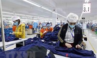 Aumenta un 30,7% el valor de exportación de mercancías de Vietnam en primeros 5 meses de 2021