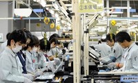 Proponen la vacunación para trabajadores vietnamitas en Japón y Taiwán (China)