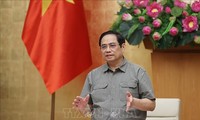 Primer ministro de Vietnam dirige reunión sobre el trabajo anti coronavirus