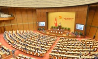 Los votantes del delta del Mekong alaban la calidad de los debates de la Asamblea Nacional