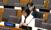 Vietnam apoya el fortalecimiento de la seguridad y la protección para las fuerzas de paz 