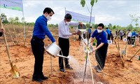 Lanzamiento del evento Domingo Verde 2022