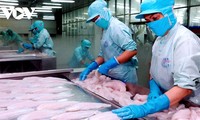 Oportunidades para promover las exportaciones de productos del mar al mercado de la UE 