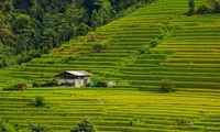 Nam Cang, un paraíso escondido en Sapa