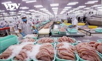 El procesamiento de Pangasius de Vietnam recibe buenas noticias desde Estados Unidos 