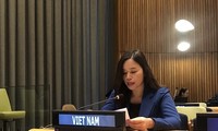 Vietnam afirma su compromiso con la promoción de los derechos de los discapacitados