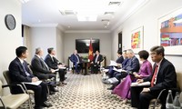 Presidente de la Asamblea Nacional de Vietnam recibe a líder del grupo Enterprize Enegy