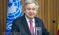 ONU valora esfuerzos de Vietnam en respuesta al cambio climático