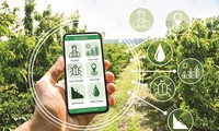 Implementarán sistema de información y base de datos para área de plantación