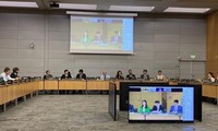Vietnam y OCDE elaboran proyecto de Informe Económico de Vietnam