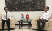 Vietnam busca experiencia cubana en asuntos religiosos 