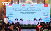 Primer ministro asiste al Foro empresarial Vietnam-Singapur