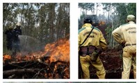 Siguen esfuerzos por sofocar incendios en Cuba