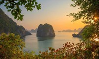 Bahía de Ha Long entre los 25 mejores destinos del mundo