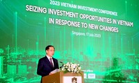 Conferencia promueve oportunidades de inversión entre Vietnam y Singapur