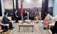 Vicepresidenta de Vietnam realiza visita oficial a Sudáfrica