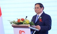 Conmemoran el 50.° aniversario de las relaciones Vietnam – Japón