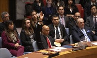 Estados Unidos veta proyecto de resolución que apoya adhesión de Palestina a la ONU