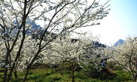 Recorrido por “meseta blanca” de Bac Ha