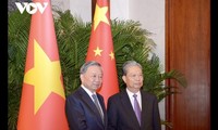 Líder político de Vietnam reunido con alto funcionario del Partido Comunista de China