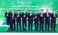 Primer Ministro asiste al 55.° aniversario del Día Tradicional de la Industria Química de Vietnam