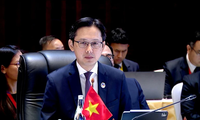 Vietnam apoya la presidencia de Laos en el Año de la ASEAN y la adhesión de Timor Oriental