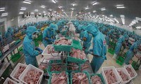 Estados Unidos: Empresas exportadoras vietnamitas no realizan dumping con productos de pangasius