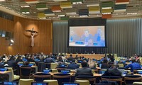 Vietnam participa en debate de ONU sobre Estado de Derecho