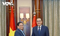 Premier vietnamita dialoga con su homólogo egipcio