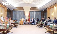 Vietnam y Arabia Saudita fortalecen cooperación en inversión, economía y comercio  