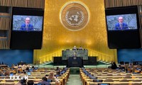 Vietnam respalda reformas de Asamblea General de la ONU en pos de eficiencia y transparencia