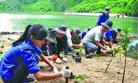 Esfuerzos de Vietnam para combatir el cambio climático