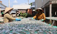 Mercado de pescado seco de Tam Nong