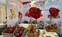 Vietnam refuerza su presencia en la feria de frutas más grande de Alemania