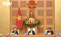 Fuerte mensaje del Primer Ministro de Vietnam a los inversores extranjeros