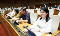 Asamblea Nacional de Vietnam aprueba varias leyes  