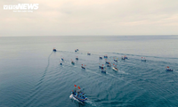 Un festín para una buena pesca
