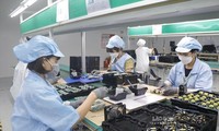 Vietnam conmemora el Día del Trabajo Creativo 2025