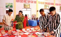 Vicecanciller de Vietnam inspecciona el trabajo de amnistía en 2025