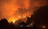 Más de mil evacuados en España por incendios forestales 