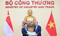 Vietnam y Singapur refuerzan su cooperación en energía, comercio e innovación