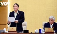 Diputados debaten políticas especiales para Ciudad Ho Chi Minh y Da Nang
