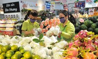 Exportaciones de frutas y hortalizas vietnamitas a la UE se triplicaron en cuatro años