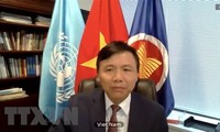 越南承诺基于联合国宪章和国际法打击恐怖主义