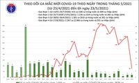 5月23日上午越南新增本土病例31例