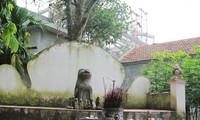 Le chien dans la tradition vietnamienne