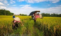  Economie verte pour le développement durable et l’adaptation au changement climatique